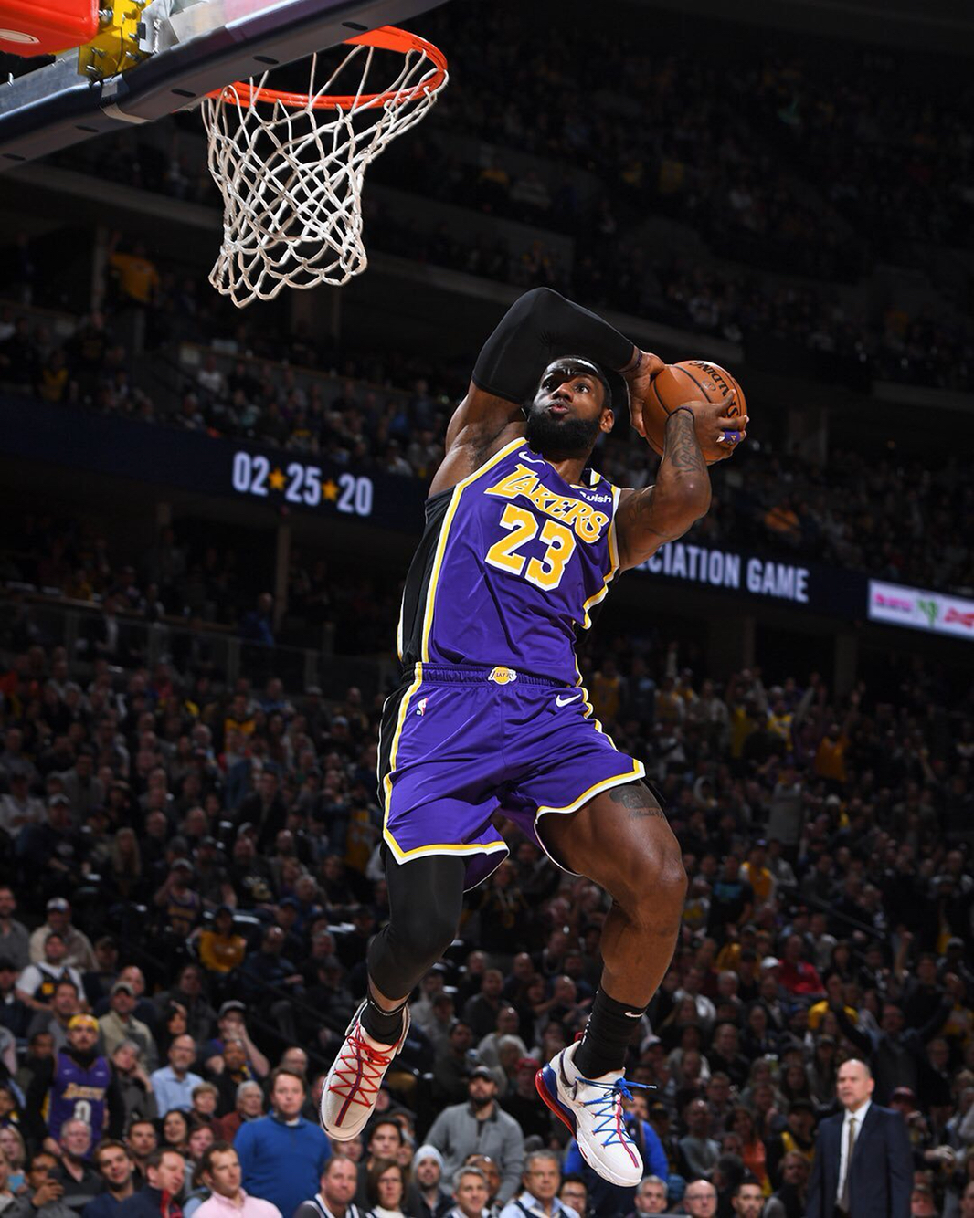 明确证据采 明确证据采